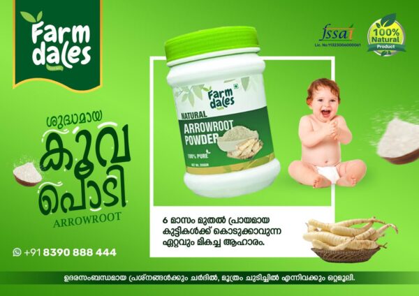Arrowroot Powder